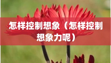 怎样控制想象（怎样控制想象力呢）