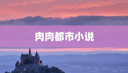 肉肉都市小说