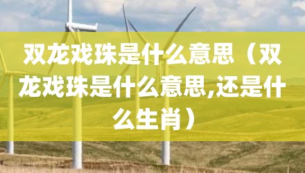 双龙戏珠是什么意思（双龙戏珠是什么意思,还是什么生肖）