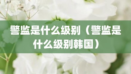 警监是什么级别（警监是什么级别韩国）