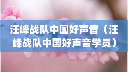 汪峰战队中国好声音（汪峰战队中国好声音学员）