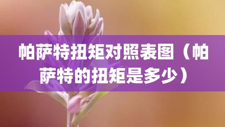 帕萨特扭矩对照表图（帕萨特的扭矩是多少）