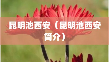 昆明池西安（昆明池西安简介）