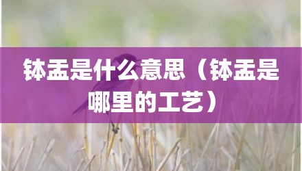 钵盂是什么意思（钵盂是哪里的工艺）