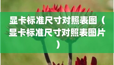 显卡标准尺寸对照表图（显卡标准尺寸对照表图片）