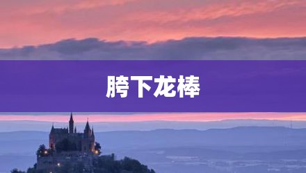 胯下龙棒