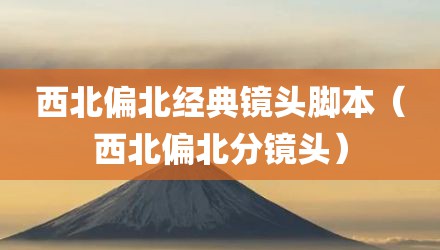 西北偏北经典镜头脚本（西北偏北分镜头）