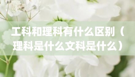 工科和理科有什么区别（理科是什么文科是什么）