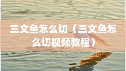 三文鱼怎么切（三文鱼怎么切视频教程）