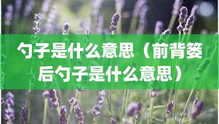 勺子是什么意思（前背篓后勺子是什么意思）