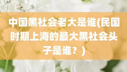 中国黑社会老大是谁(民国时期上海的最大黑社会头子是谁？)