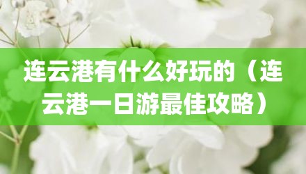 连云港有什么好玩的（连云港一日游最佳攻略）