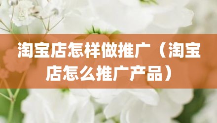 淘宝店怎样做推广（淘宝店怎么推广产品）