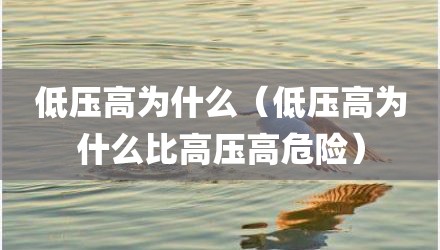 低压高为什么(低压高为什么比高压高危险)