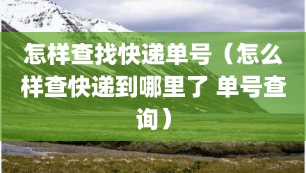 怎样查找快递单号（怎么样查快递到哪里了 单号查询）