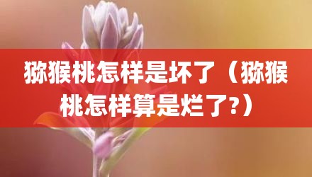 猕猴桃怎样是坏了(猕猴桃怎样算是烂了?)