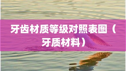 牙齿材质等级对照表图（牙质材料）