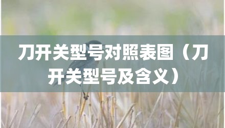 刀开关型号对照表图（刀开关型号及含义）