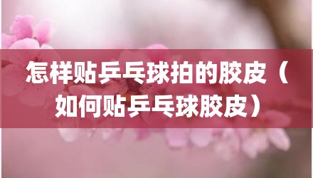 怎样贴乒乓球拍的胶皮（如何贴乒乓球胶皮）