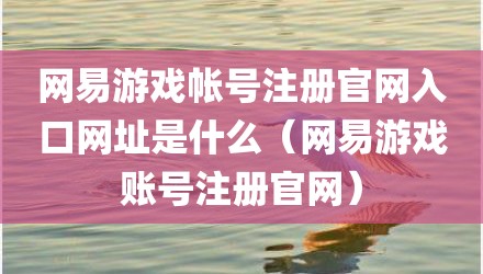 网易游戏帐号注册官网入口网址是什么(网易游戏账号注册官网)