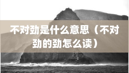 不对劲是什么意思（不对劲的劲怎么读）