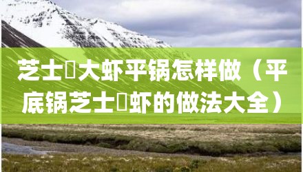 芝士焗大虾平锅怎样做（平底锅芝士焗虾的做法大全）