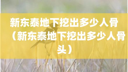 新东泰地下挖出多少人骨（新东泰地下挖出多少人骨头）