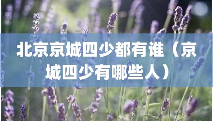 北京京城四少都有谁(京城四少有哪些人)