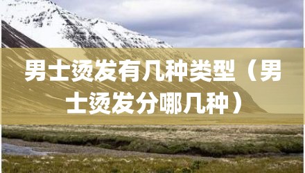 男士烫发有几种类型（男士烫发分哪几种）