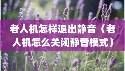 老人机怎样退出静音（老人机怎么关闭静音模式）