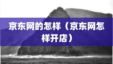 京东网的怎样（京东网怎样开店）
