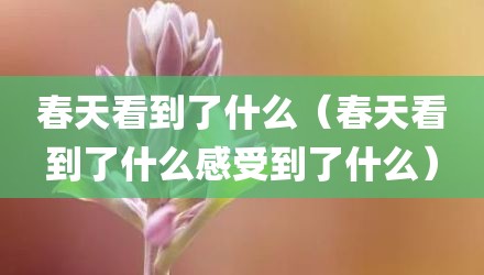 春天看到了什么(春天看到了什么感受到了什么)