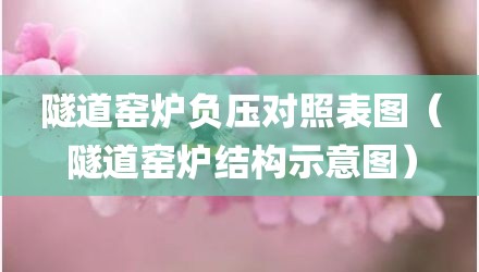 隧道窑炉负压对照表图(隧道窑炉结构示意图)