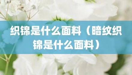 织锦是什么面料（暗纹织锦是什么面料）