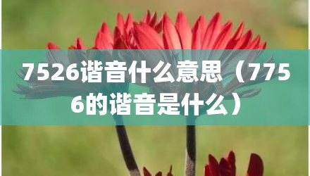 7526谐音什么意思（7756的谐音是什么）