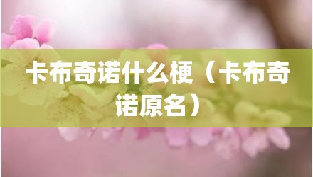 卡布奇诺什么梗（卡布奇诺原名）