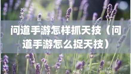 问道手游怎样抓天技（问道手游怎么捉天技）