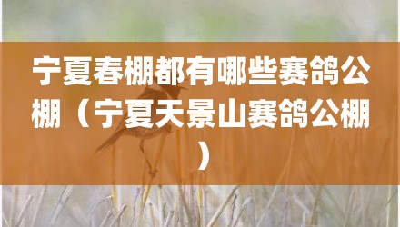 宁夏春棚都有哪些赛鸽公棚（宁夏天景山赛鸽公棚）