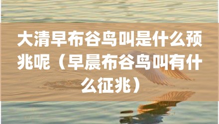 大清早布谷鸟叫是什么预兆呢(早晨布谷鸟叫有什么征兆)