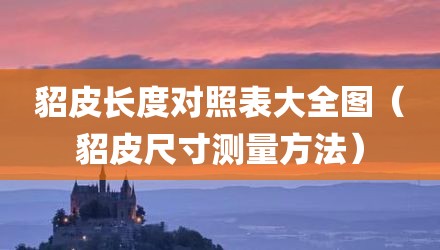 貂皮长度对照表大全图（貂皮尺寸测量方法）