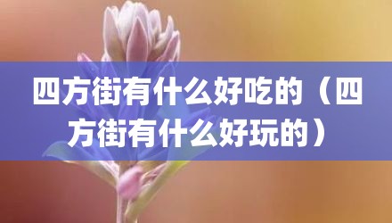 四方街有什么好吃的（四方街有什么好玩的）