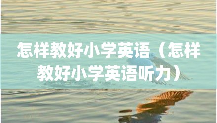 怎样教好小学英语（怎样教好小学英语听力）