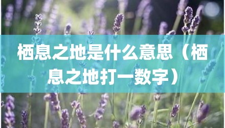 栖息之地是什么意思(栖息之地打一数字)