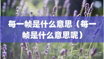 每一帧是什么意思（每一帧是什么意思呢）