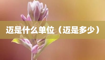 迈是什么单位（迈是多少）
