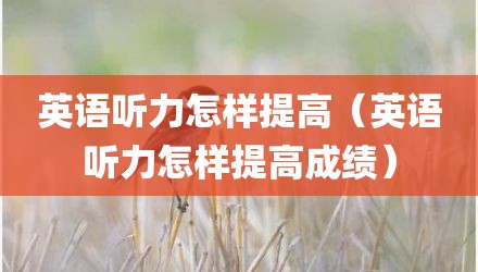 英语听力怎样提高(英语听力怎样提高成绩)