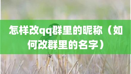 怎样改qq群里的昵称（如何改群里的名字）
