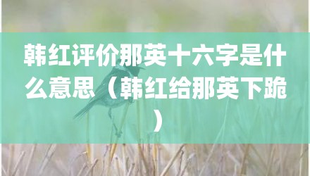 韩红评价那英十六字是什么意思（韩红给那英下跪）