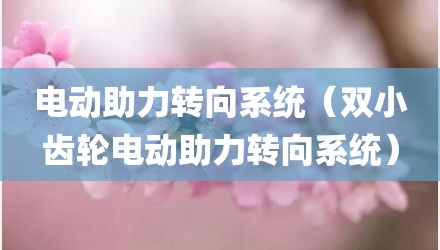 电动助力转向系统（双小齿轮电动助力转向系统）