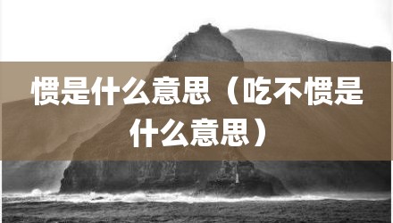 惯是什么意思（吃不惯是什么意思）